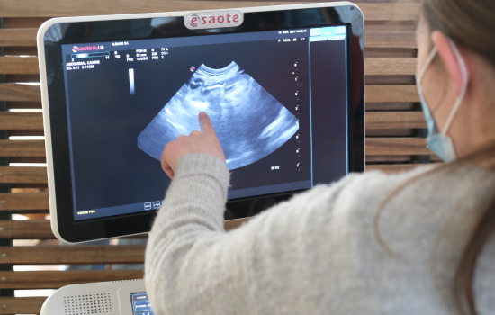 ID1128 - Perfectionnement en &eacute;chographie abdominale - Edition 5