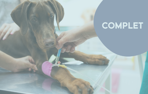 Parcours didactique en m&eacute;decine interne - Edition 1